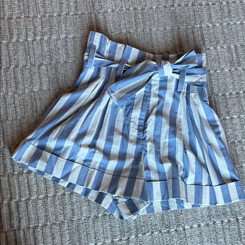 Blue and White Striped Women Shorts